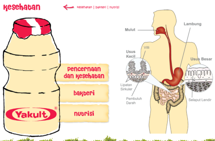 yakult si kecil yang tua