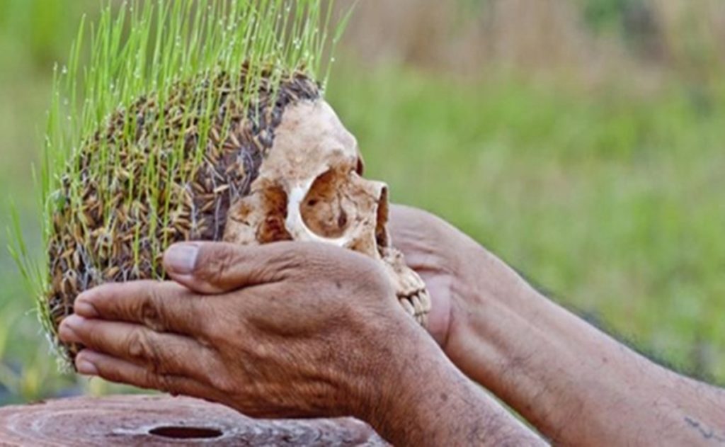 Parakang, Makhluk Mistis Asal Sulawesi Selatan