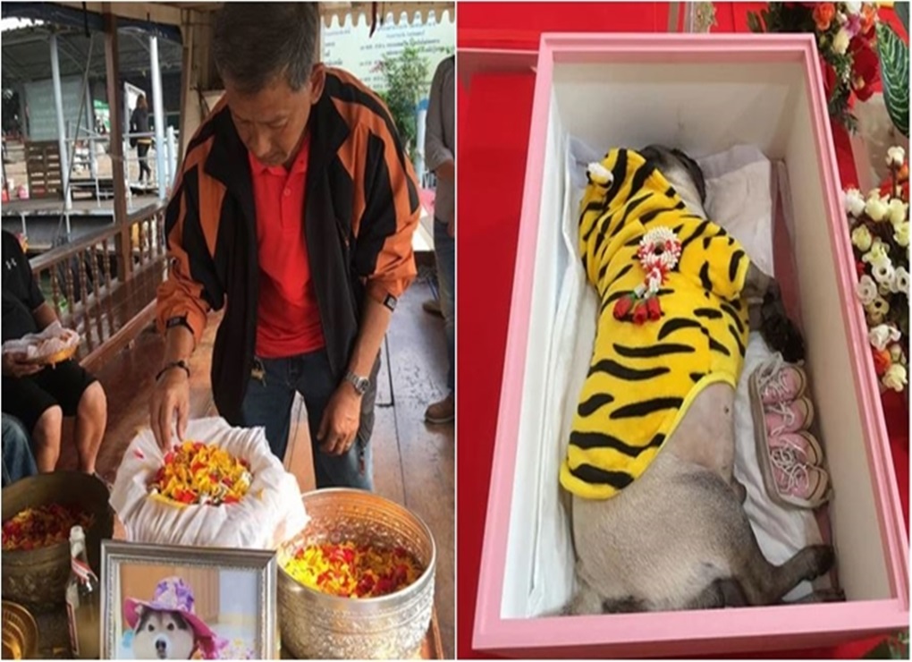 Melihat Uniknya Pemakaman Hewan di Bangkok