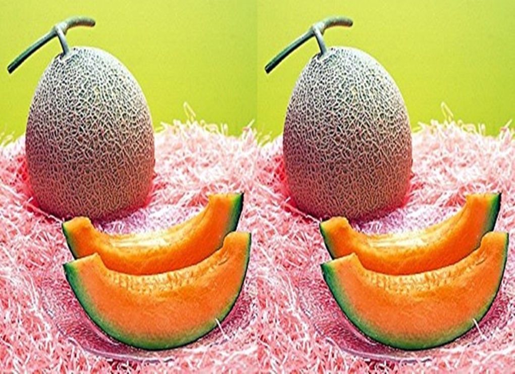 Melon Yubari King, Buah Termahal di Dunia