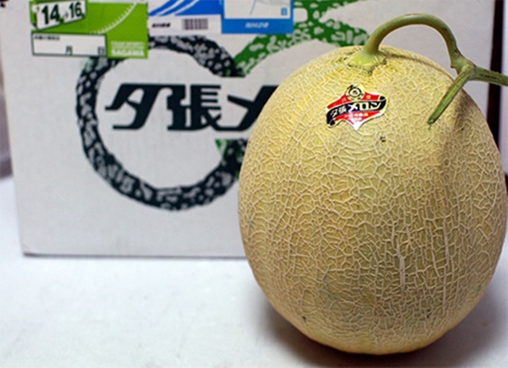 Melon Yubari King, Buah Termahal di Dunia