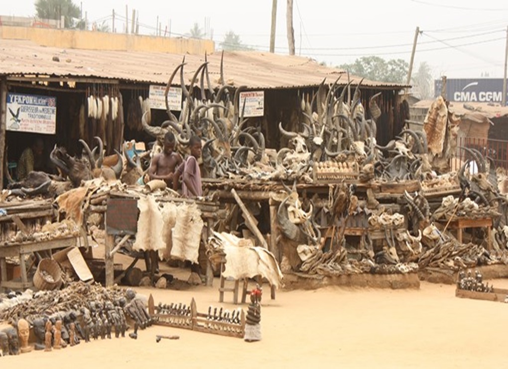 Mengunjungi Pasar Santet Akodessewa