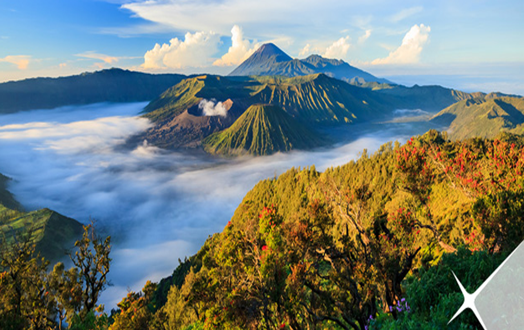 Tempat Wisata Indonesia yang Jadi Destinasi Favorit Wisatawan Asing