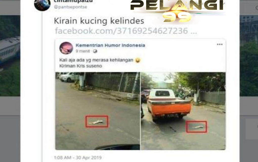 Penampakan di Jalan Ini Dikira Kucing Kelindes