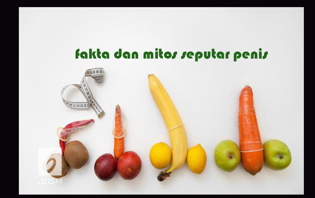 Fakta dan 4 Mitos Seputar Penis