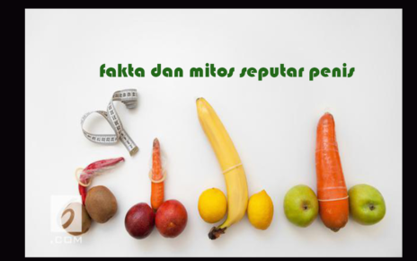 Fakta dan 4 Mitos Seputar Penis