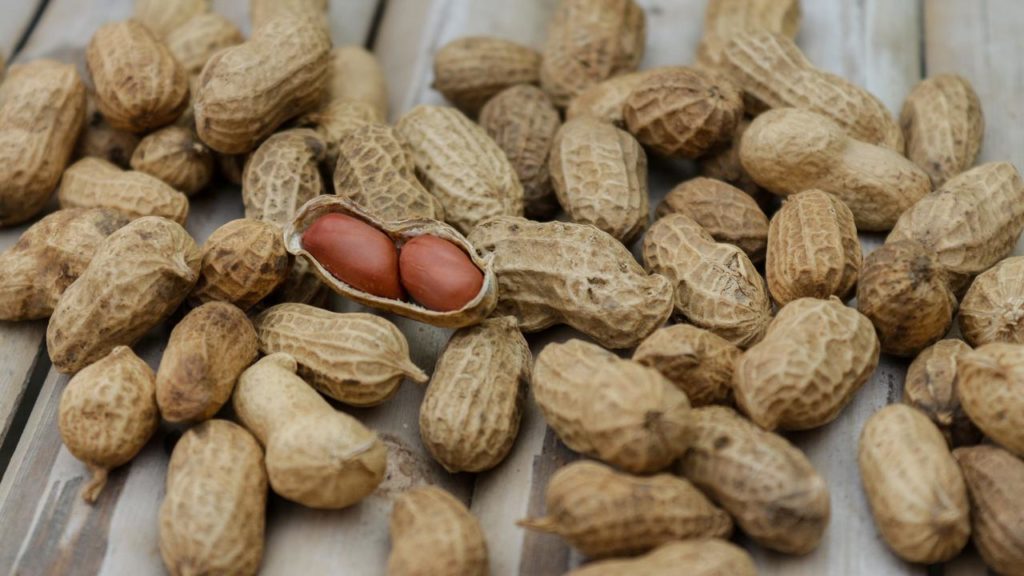Fakta Unik Tentang Selai Kacang