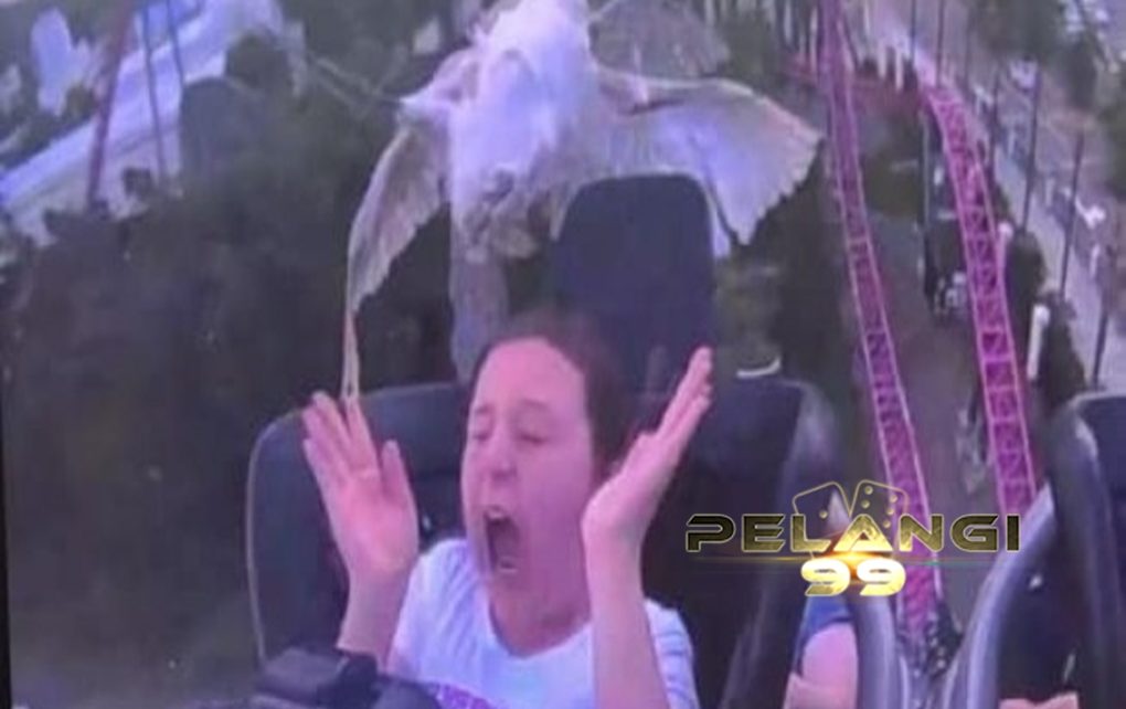 Naik Roller Coaster Wajahnya Ditabrak Burung Langsung Viral