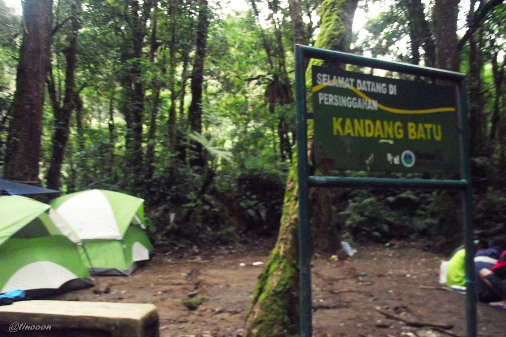 Panduan Mendaki Gunung Gede Pangrango