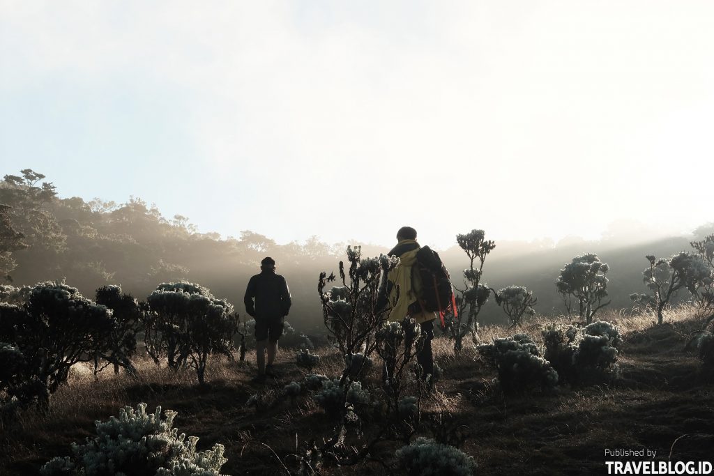 Panduan Mendaki Gunung Gede Pangrango