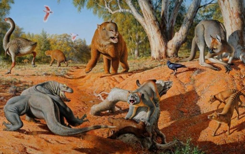 5 Megafauna yang Punah Akibat Manusia