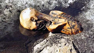 Terkuak, Ini Makanan Mumi Manusia Es Ötzi Semasa Hidupnya