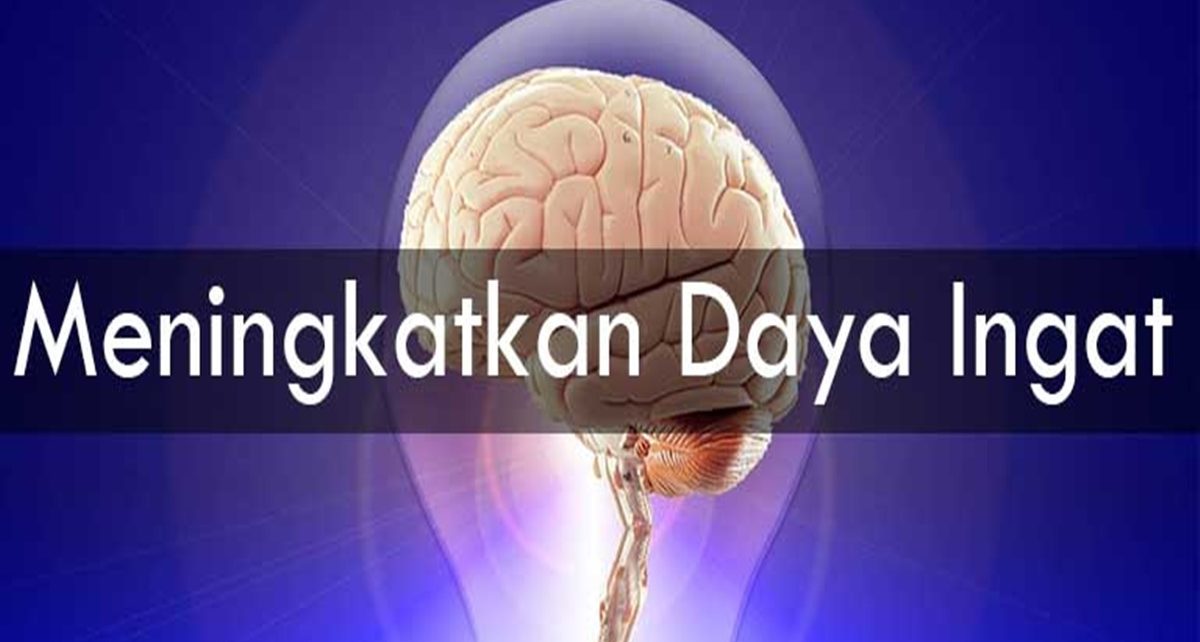 Makanan Yang Dapat Meningkatkan Daya Ingat