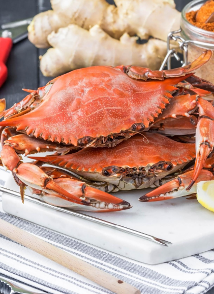 Makanan Laut Aman Bermanfaatnya untuk Anak