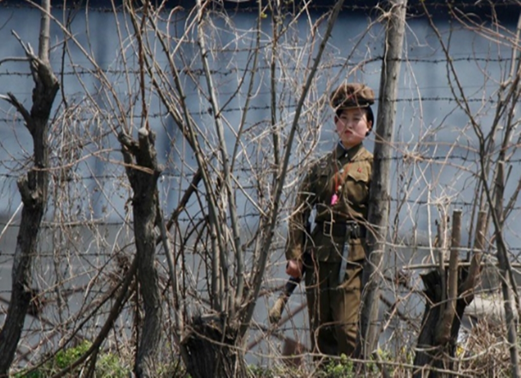 Fakta Mengenai Penjara Korea Utara