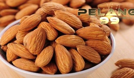 Manfaat Kacang Almond bagi Kesehatan