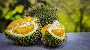 Manfaat Durian Bagi Kesehatan