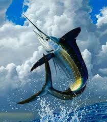 Fakta Menarik Ikan Marlin
