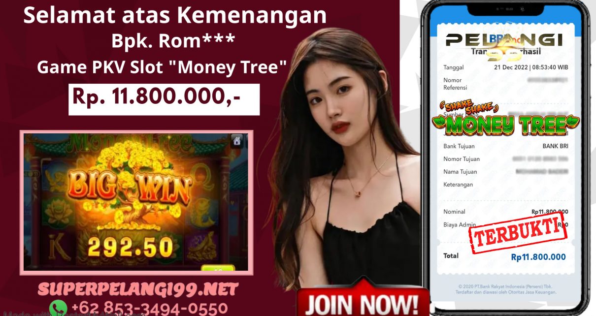 Kemenangan PKV Slot Money Tree